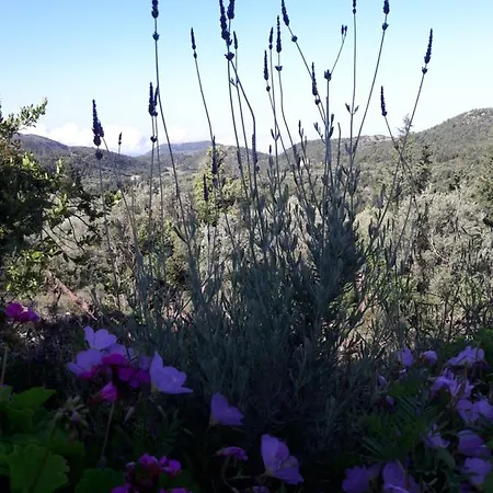 Σπίτι διακοπών Alexia's House