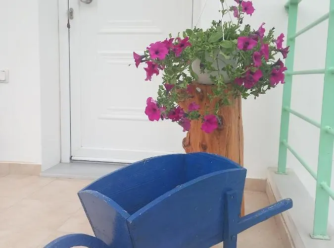 Alexia's House Casa de Férias