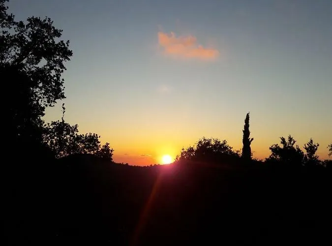 Alexia's House Chortáta